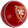 Cricket Ball Crest Academy